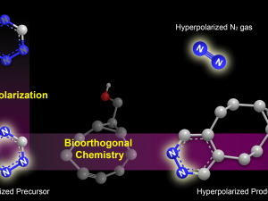 Wang and Warren Collaboration Report a Novel Hyperpolarization Tagging Strategy