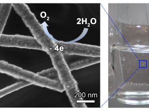 The Wiley Lab Makes Optically Transparent Water Oxidation Catalyst from Copper Nanowires
