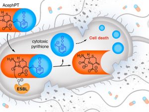 Illustration of targeted drug delivery