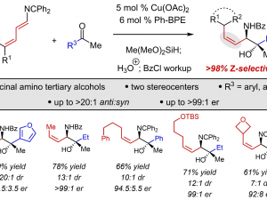 reductive coupling of azatrienes and ketones for the Z-selective synthesis of allylic 1,2-amino tertiary alcohols