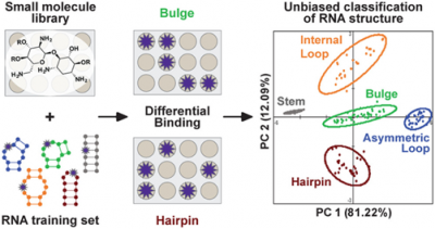 Discovery of small molecules that target a tertiary-structured RNA