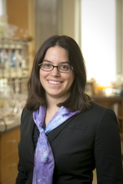 Professor Roizen Chosen as a 2017 Thieme Chemistry Awardee