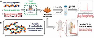 Workflow for fabrication and characterization of 3D-printed, drug-loaded microneedle arrays. 