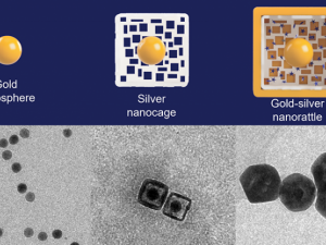 Nanorattles Shake Up New Possibilities for Disease Detection